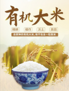 启创景飞：您的米油糖核心供应链解决方案专家