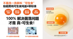 始祖黑鸡丨慢产可生食鸡蛋：重新定义一枚好蛋的安全与营养